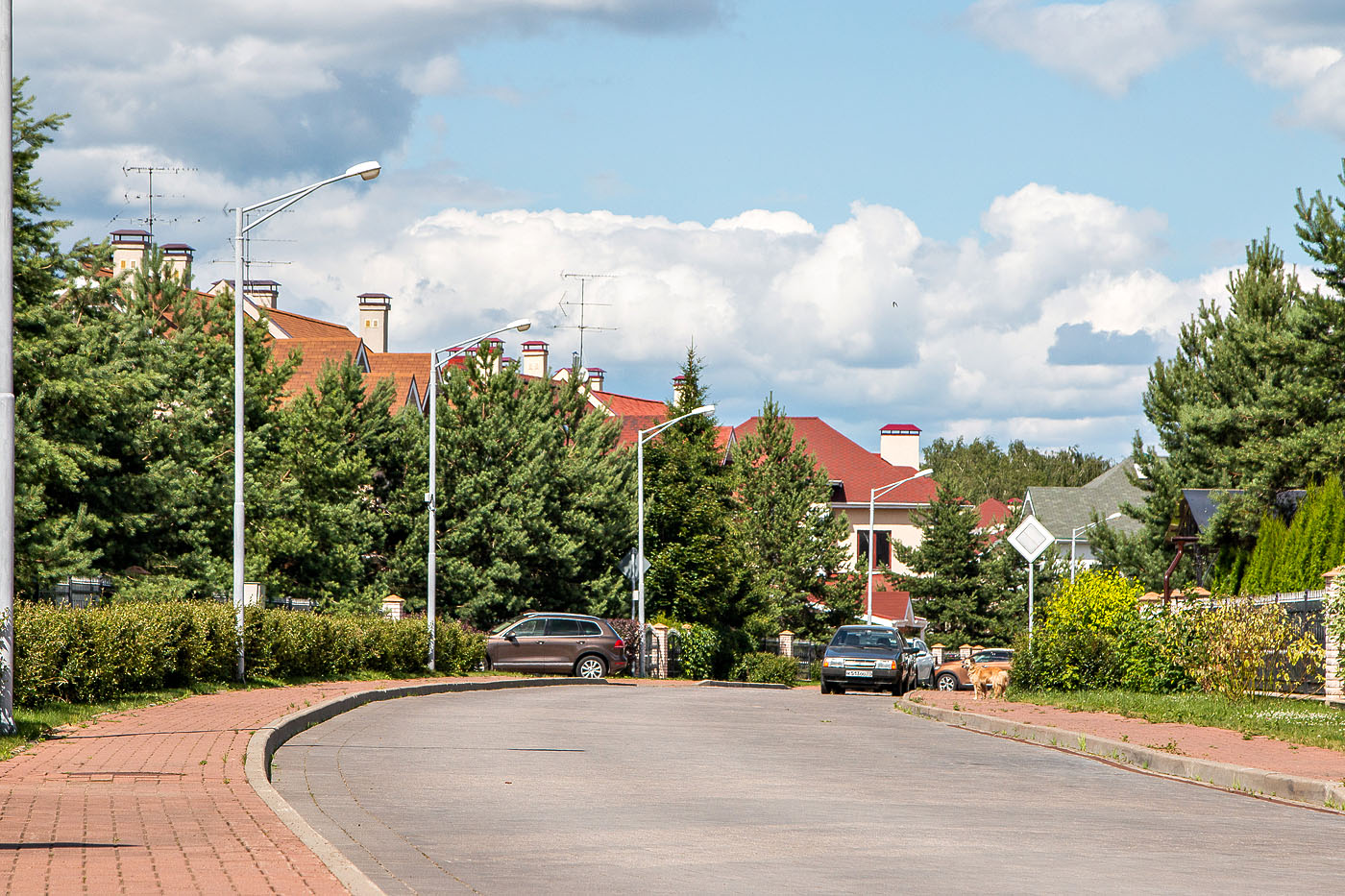 Крона Фото 28911